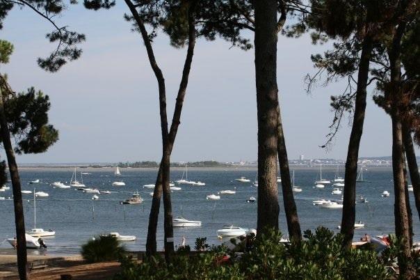 Le Sommet Des Dunes Hotel Lège-Cap-Ferret Pokój zdjęcie