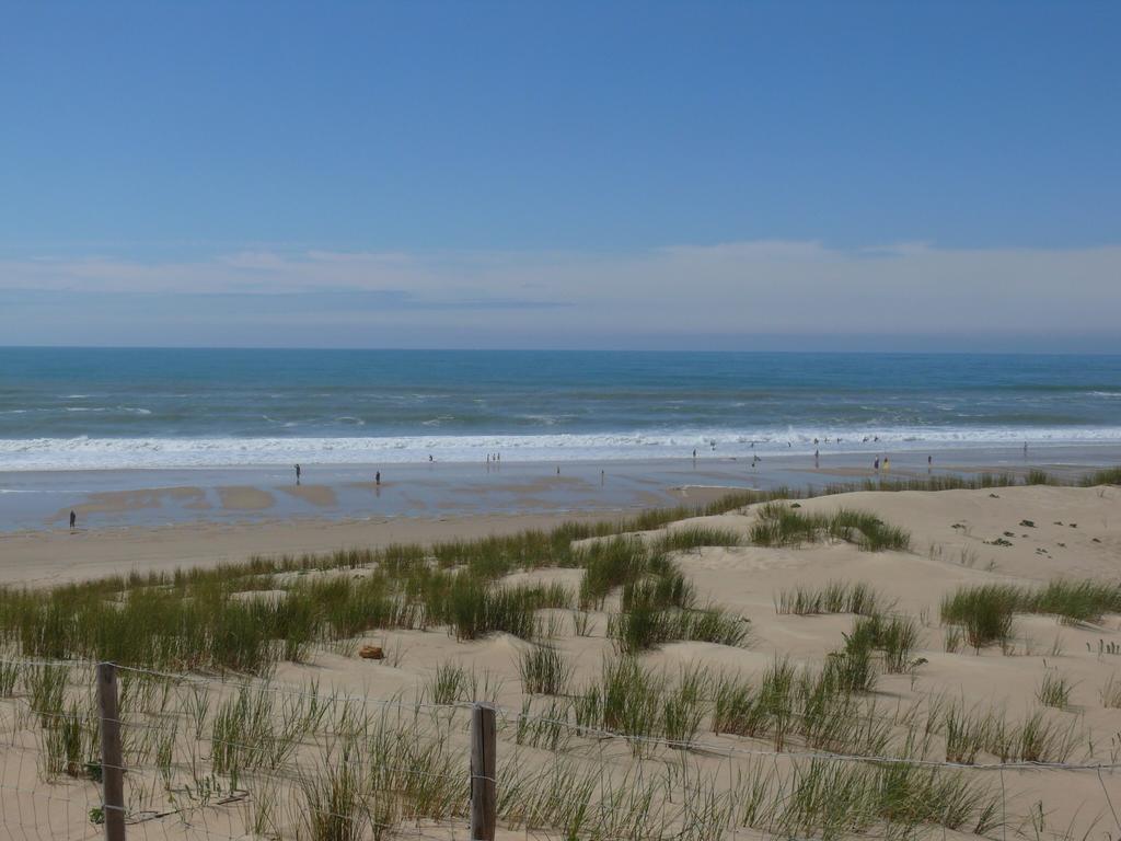 Le Sommet Des Dunes Hotel Lège-Cap-Ferret Pokój zdjęcie